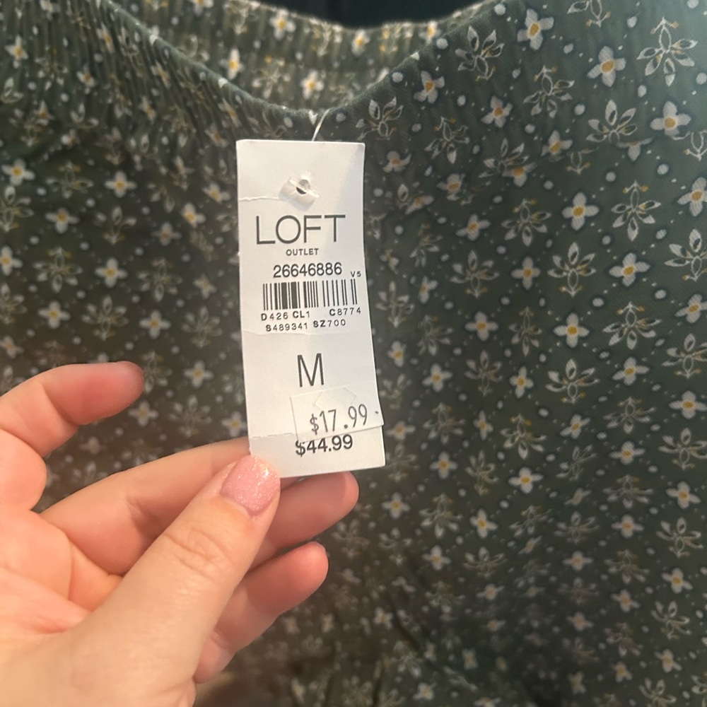 Loft shorts